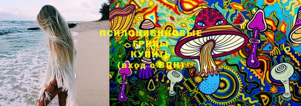 экстази Щигры