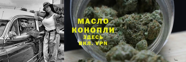 дживик Новозыбков
