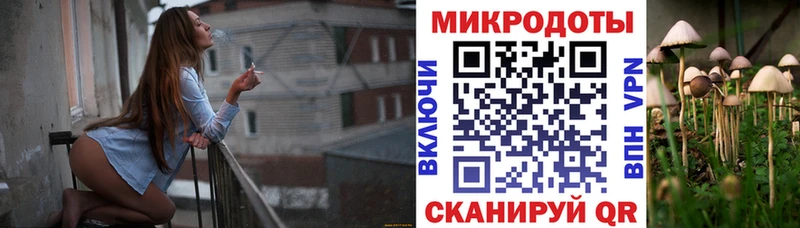 где купить наркоту  Первомайск  Галлюциногенные грибы Magic Shrooms 