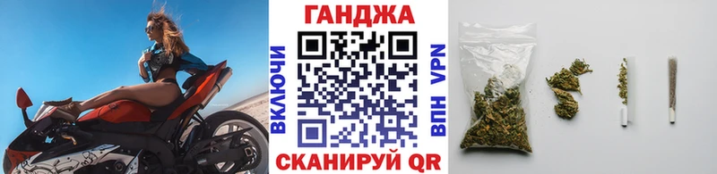 купить наркотик  mega   Конопля сатива  Первомайск 